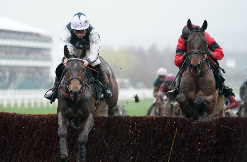  Ahoy Senor and Bravemansgame all set for Aintree rematch