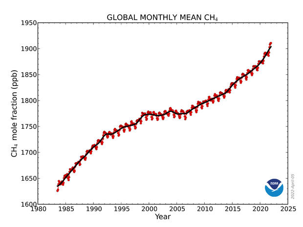  Atmospheric methane levels surged by a record amount in 2021: NOAA