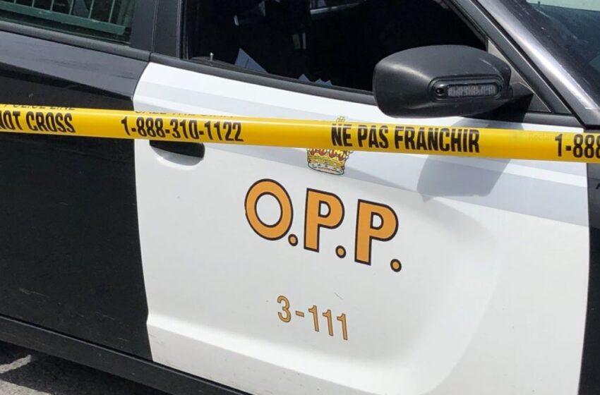  ATV driver dies in single-vehicle crash in Walpole Island First Nation: OPP
