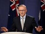  Australian federal election: Anthony Albanese makes his pitch to voters as polling date is announced