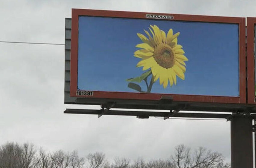  Billboards with Ukrainian national flower pop up in U.S.