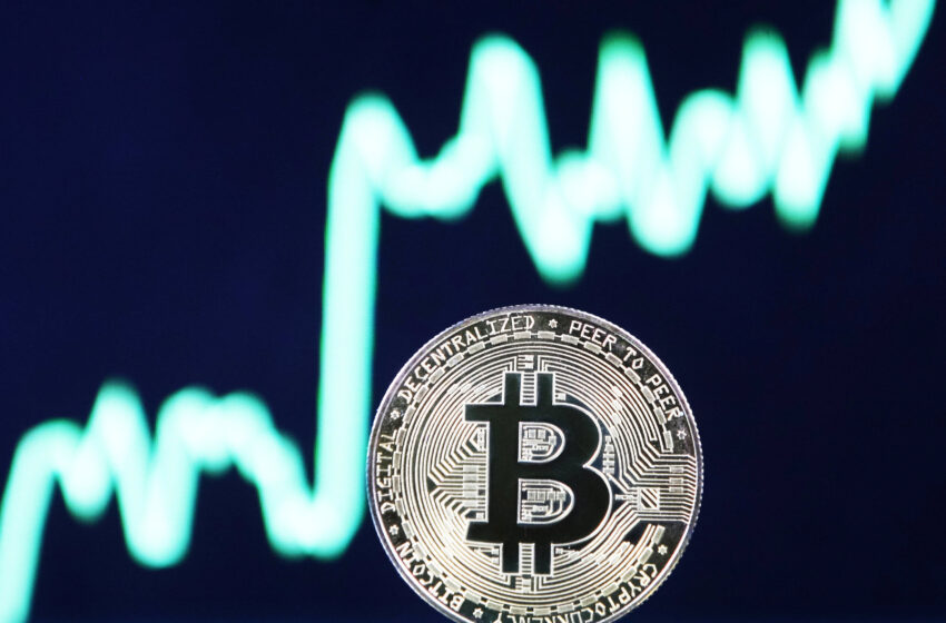  Bitcoin could hit $100,000 within a year, crypto firm’s CEO predicts