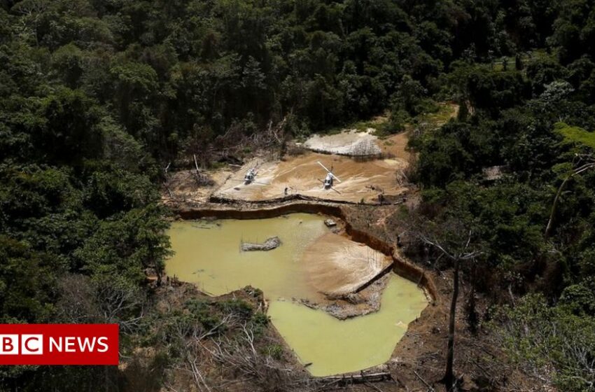  Brazil’s indigenous communities fear mining threat over war in Ukraine
