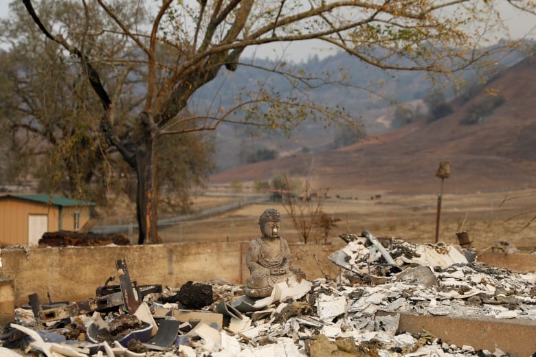  California utility to pay $55M but admits to no wrongdoing in 2 devastating wildfires
