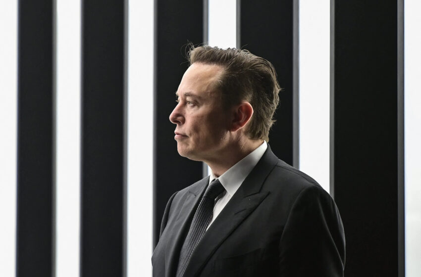  Elon Musk says Twitter Blue subscribers should be able to pay with dogecoin