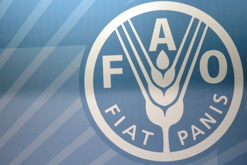  Morocco will host the FAO regional conference for Africa in 2024