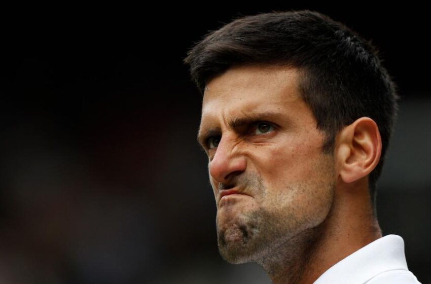  Novak Djokovic labelled ‘king of stupidity’ ahead of tennis return