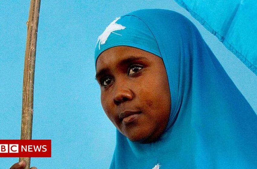  Somalia’s elections – where the people don’t vote