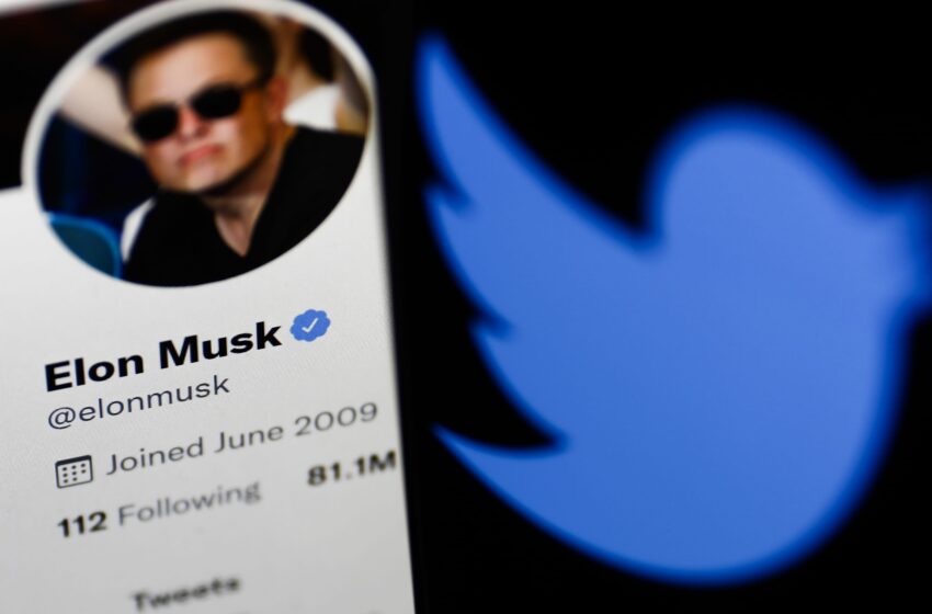  Twitter shares up after Elon Musk abandons plan to join board
