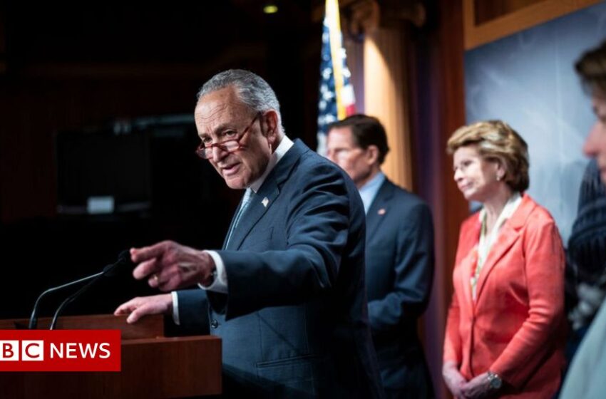  Democrats push doomed bid for federal abortion law