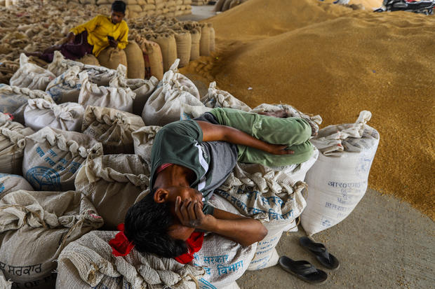  Wheat prices soar as India heat wave and Ukraine war squeeze supplies