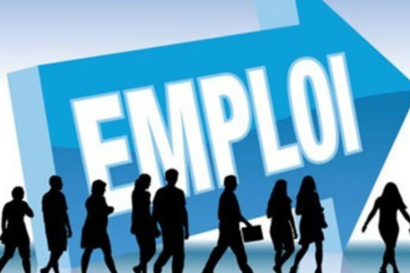  Giving new impetus to employment