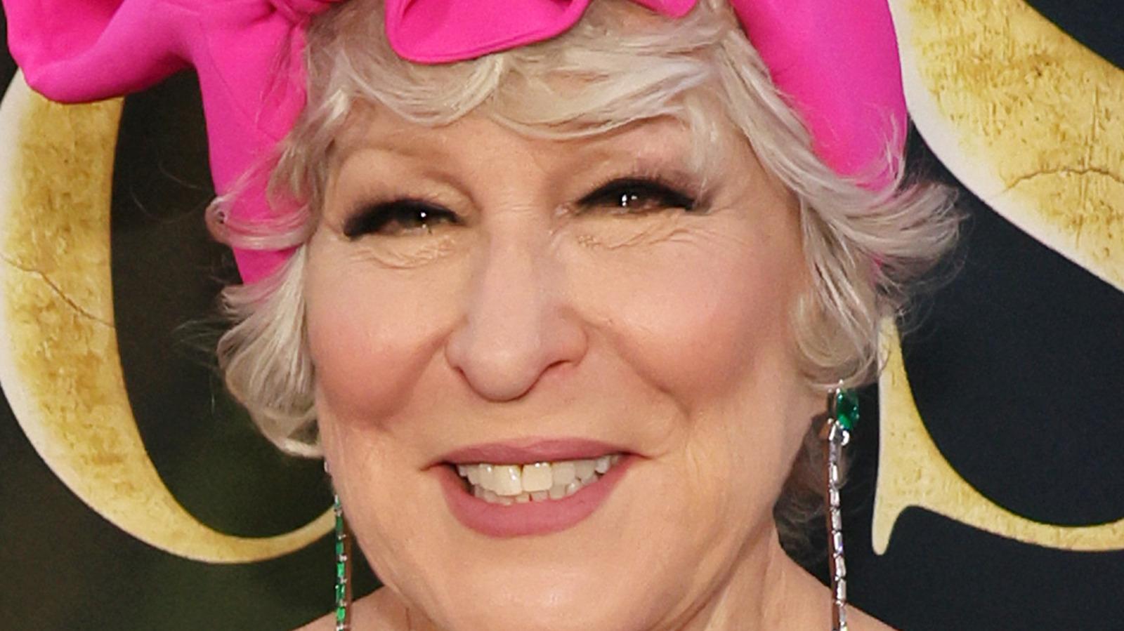  What You Don’t Know About Bette Midler