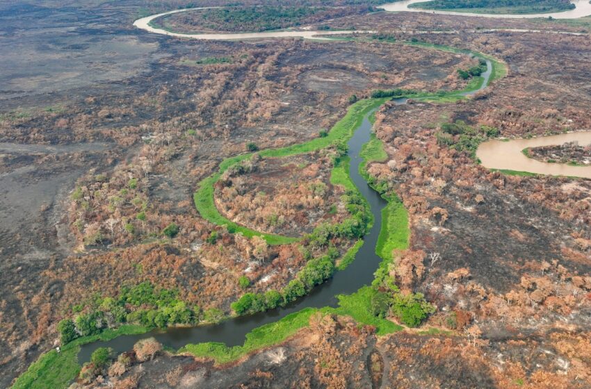 Brazil’s Pantanal wetlands fire season hasn’t officially started but it’s already breaking records