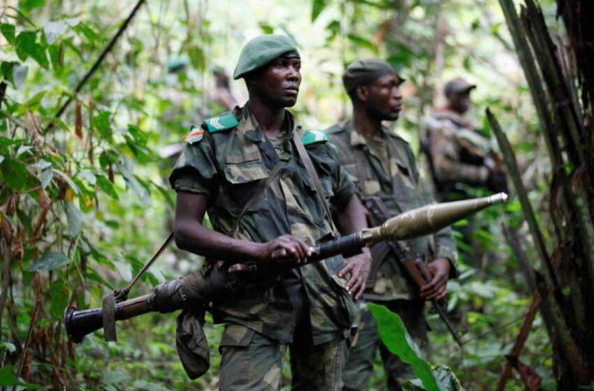  حركة «إم 23» المتمردة تواصل التقدّم في شرق الكونغو الديمقراطية