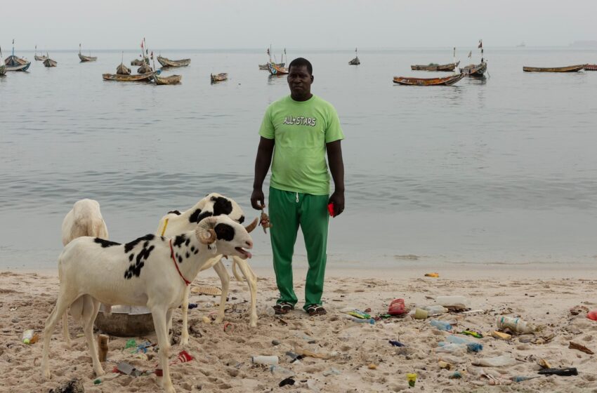  For Senegalese fishermen, Eid al-Adha is now a source of anguish, not a joyful occasion