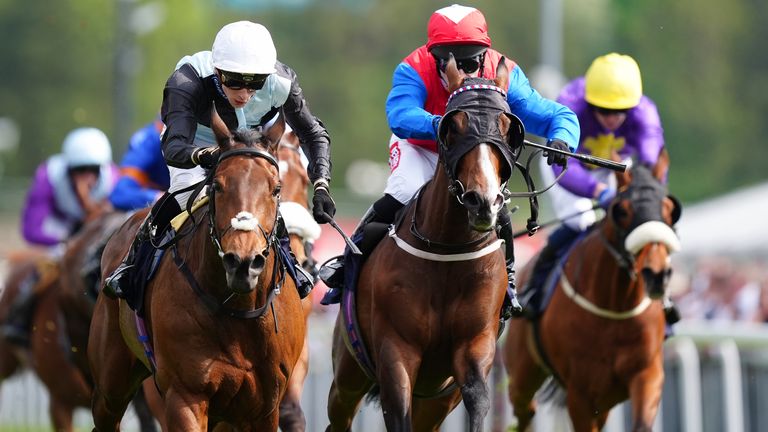 Horse-by-horse guide to the Northumberland Plate