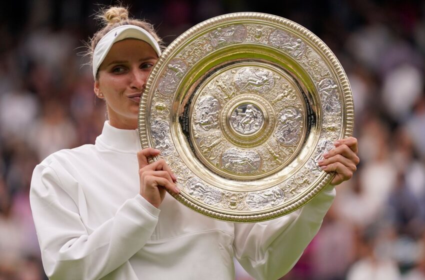  Wimbledon 2024: Women’s singles draw
