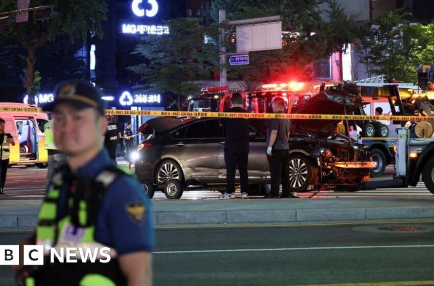  At least nine killed in Seoul as car ploughs into crowd