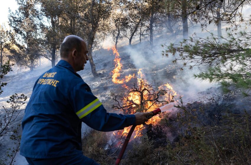  Firefighters tackle blaze on Greek island of Chios as premier warns of ‘dangerous summer’