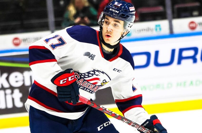  Scout’s Analysis: Who are the top prospects for the 2025 NHL Draft?